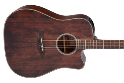 Takamine GD21CE SM (fot. Takamine)