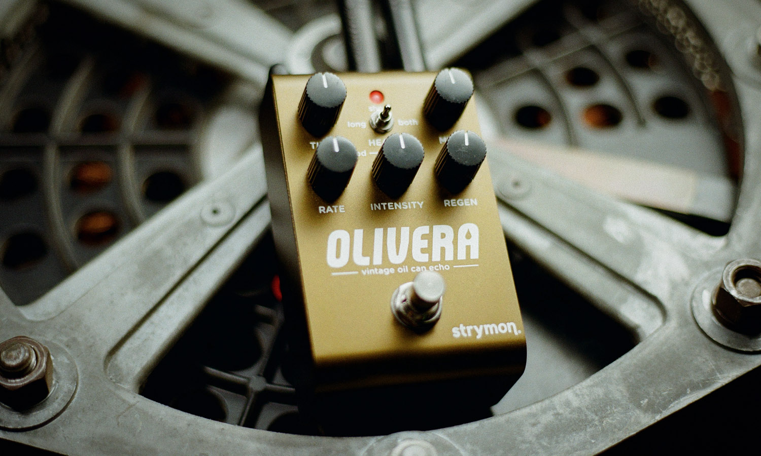 Strymon Olivera (fot. Strymon)